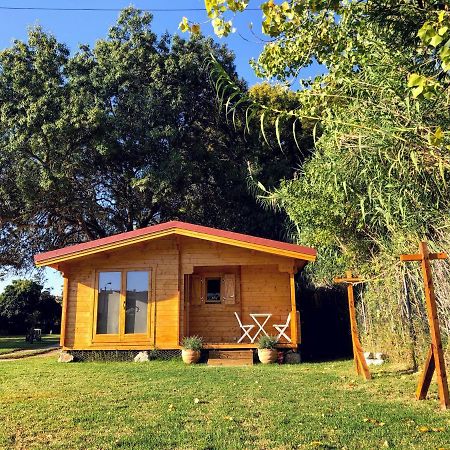 Вілла Woodhouse Sao Pedro do Estoril Екстер'єр фото
